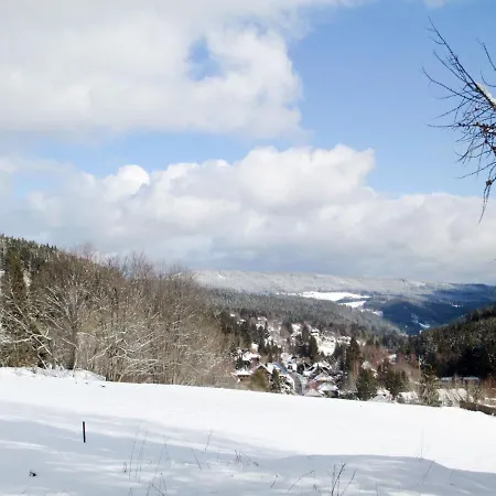 Blechnerhof-1 By Interhome Appartement Falkau